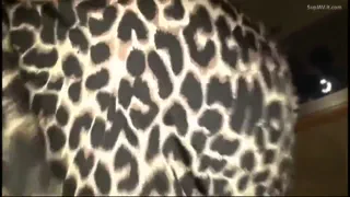Preview at 00:37
