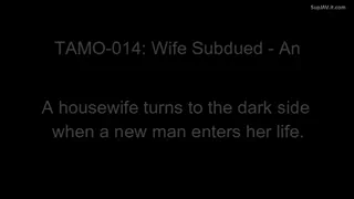 Preview at 00:07